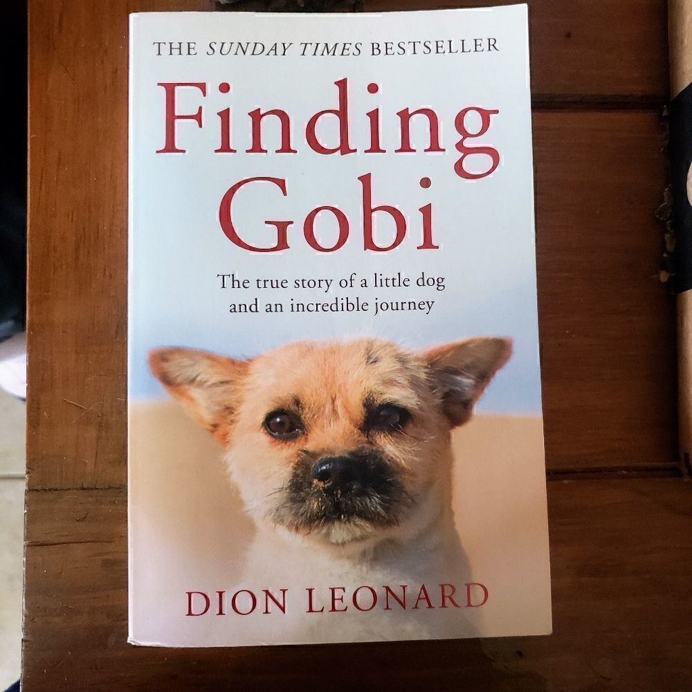 Finding Gobi book paperback